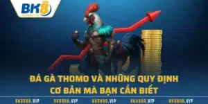Đá Gà Thomo Và Những Quy Định Cơ Bản Mà Bạn Cần Biết