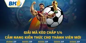 Giải Mã Kèo Chấp 1/4 | Cẩm Nang Kiến Thức Cho Thành Viên Mới