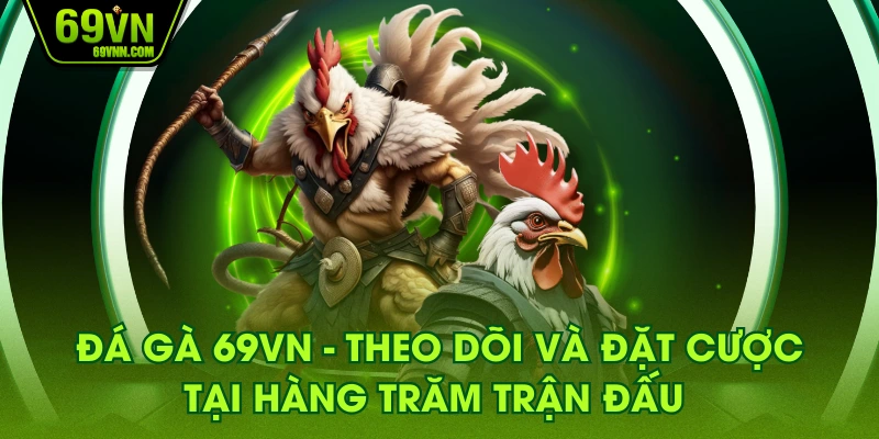 Đá Gà 69VN - Theo Dõi Và Đặt Cược Tại Hàng Trăm Trận Đấu